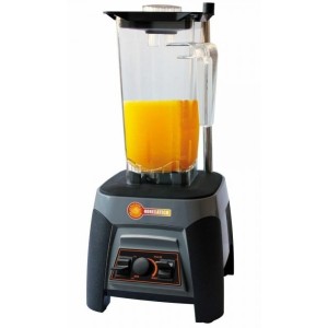 BLENDER DUTY ELITE RS617