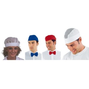 BUSTINE SERIE  - 1229999 | Novalberghiera