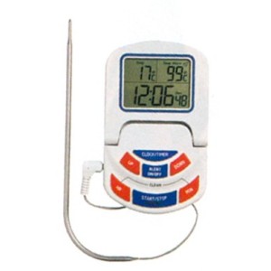 TERMOM.FORNO DIGITALE 300°C  - 906016 | Novalberghiera