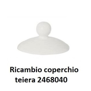 RICAMBIO COP.TEIERA  cl.40  - 2468000 | Novalberghiera
