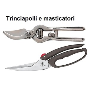 TRINCIAPOLLI SERIE  - 2660999 | Novalberghiera