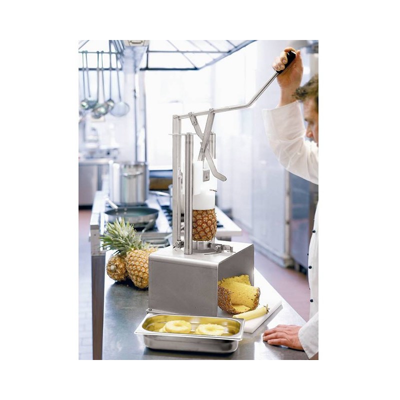 PELA/SVUOTA ANANAS INOX  - 2769000 | Novalberghiera