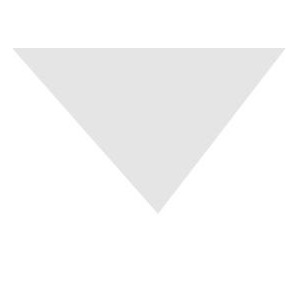 2 TRIANG. CUOCO BIANCHI  - 2971002 | Novalberghiera