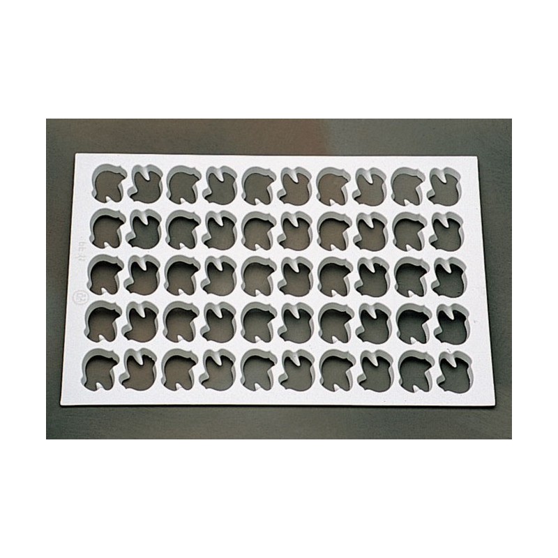 PLACCA X PASTAFROLLA -PF11  - 2981014 | Novalberghiera