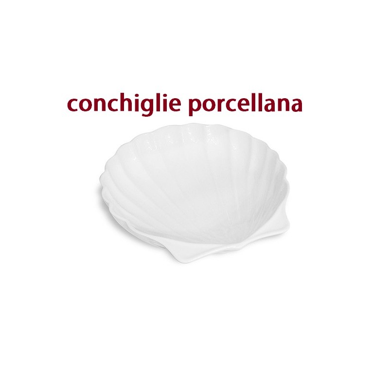 CONCHIGLIA PORCELLANA  - 3812999 | Novalberghiera