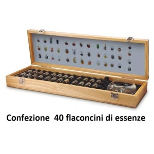 CONF.40 ESSENZE VINO  - 4481040 | Novalberghiera