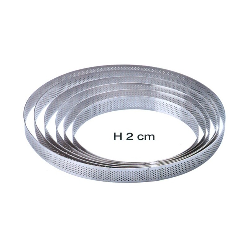 CERCHIO INOX MICROF.mm 250x20h  - 5815025 | Novalberghiera