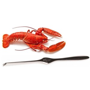FORCHETTE ARAGOSTA  - 3669002 | Novalberghiera