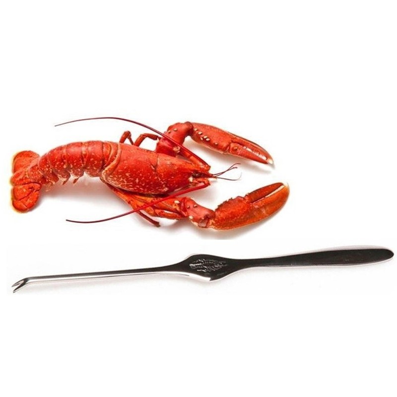 FORCHETTE ARAGOSTA  - 3669002 | Novalberghiera