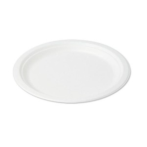 C.50 OVALE cm26x20  POLPA (10)  - 1092326 | Novalberghiera