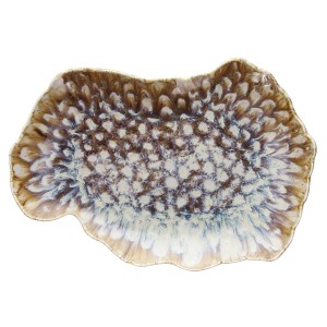 REEF P.OVALE cm 30  - 1537330 | Novalberghiera