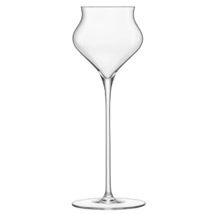 SAPIENTIA CALICE SPIRITS cl.14  - 1559014 | Novalberghiera