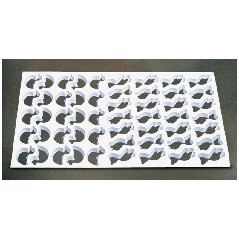 PLACCA X PASTAFROLLA -PF17  - 2981022 | Novalberghiera