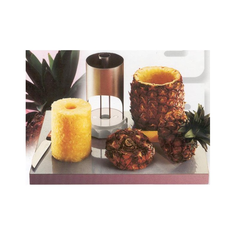 ANANISSIMO INOX Cer  - 345000 | Novalberghiera