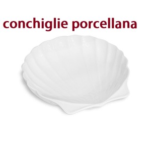 CONCHIGLIA PORCELLANA  - 3812999 | Novalberghiera