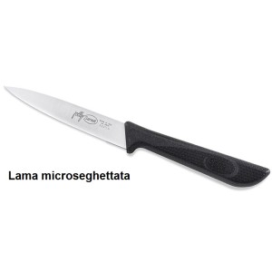 COLT.SPELUCC.SEGA.cm 11  - 2623002 | Novalberghiera