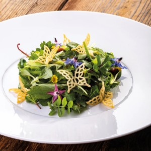 STAMPO SILIC.12 FARFALLE GG051