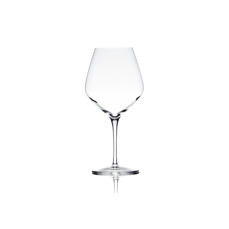 ATELIER CALICE PINOT/N. cl.61  - 4982004 | Novalberghiera