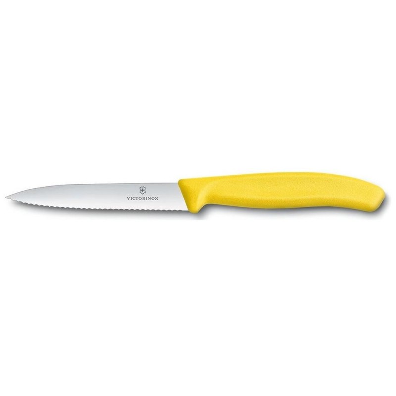 SPELUCC.SEGA GIALLO cm 10  - 7712013 | Novalberghiera