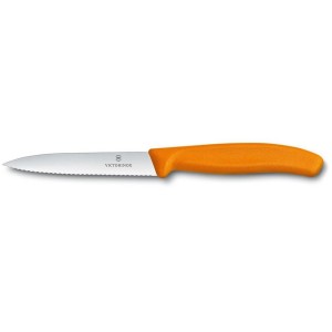 SPELUCC.SEGA ARANCIO cm 10  - 7712014 | Novalberghiera
