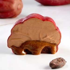 STAMPO SILICONE 40x30 F.CACAO