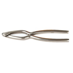 ROMPINOCI INOX PES.cm 18  - 3339000 | Novalberghiera