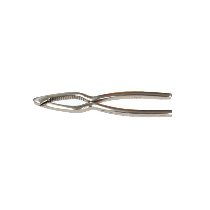 ROMPINOCI INOX PES.cm 18  - 3339000 | Novalberghiera