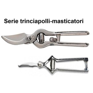 TRINCIAPOLLI SERIE  - 2660999 | Novalberghiera