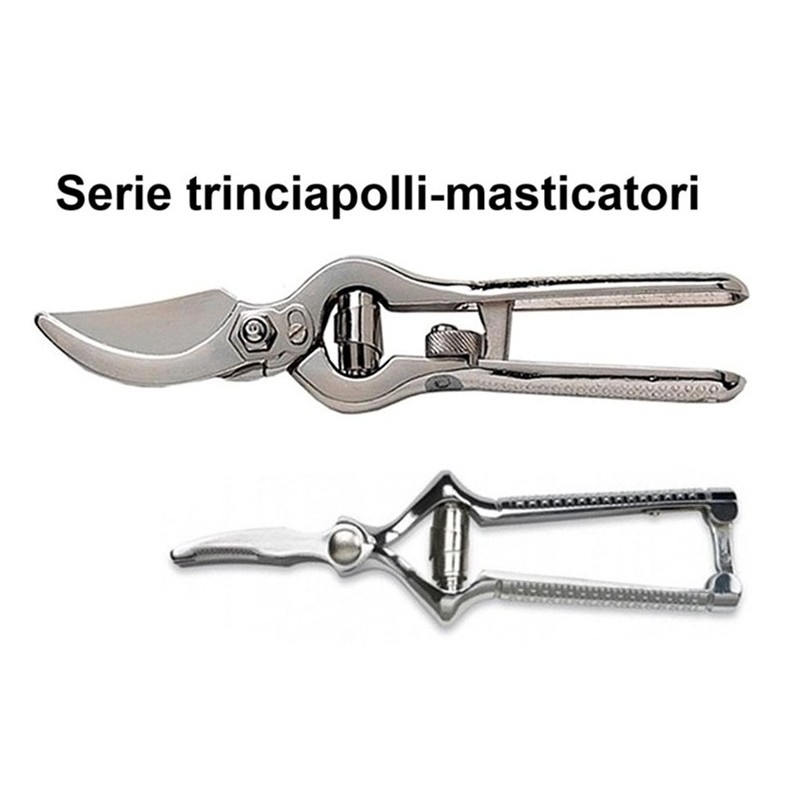 TRINCIAPOLLI SERIE  - 2660999 | Novalberghiera