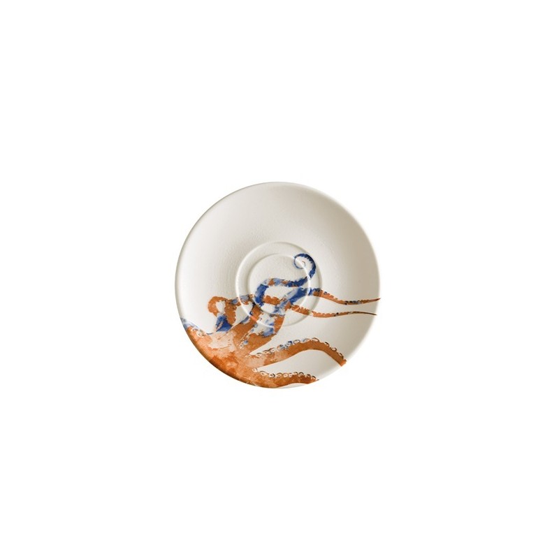 AQUELIS PIATTINO x COPPETTA cm19  - 1336817 | Novalberghiera