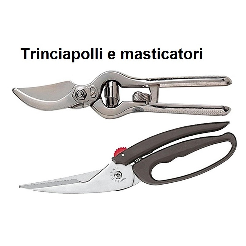 TRINCIAPOLLI SERIE  - 2660999 | Novalberghiera