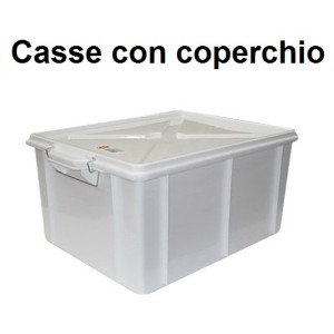 BOX CON COPERCHIO  - 2861999 | Novalberghiera
