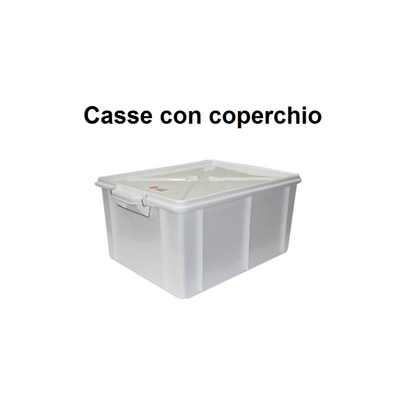 BOX CON COPERCHIO  - 2861999 | Novalberghiera