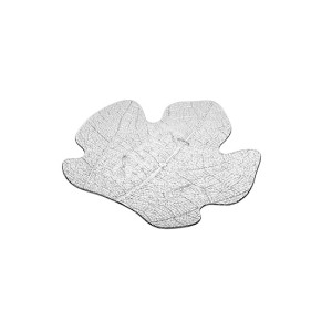 6122-21 N.25 MONOD.FICUS  - 3621001 | Novalberghiera