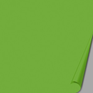 100 TOV.100x100 TNT Kiwi  - 502009 | Novalberghiera