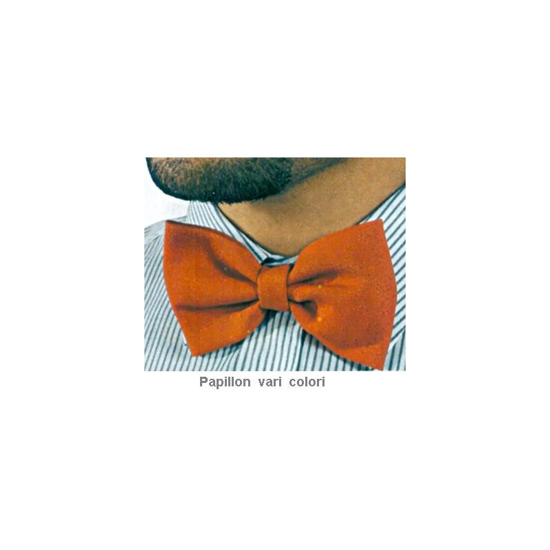 PAPILLON COLOR -Ico  - 610001 | Novalberghiera