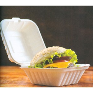 N.50 BOX HAMBURGER 15x14 eco  - 1391010 | Novalberghiera