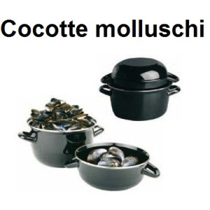 COCOTTE x MOLLUSCHI  - 2512999 | Novalberghiera