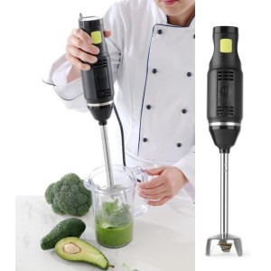 MIXER IMMERSIONE MINI Hdi  - 3200010 | Novalberghiera
