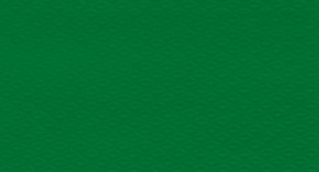 250 TOV.tte 40x30 VERDE F. (12)|Novalberghiera