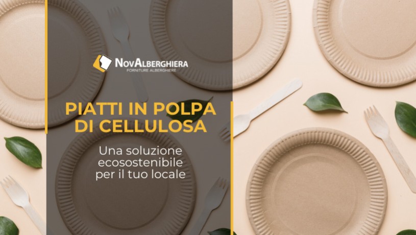 Piatti in polpa di cellulosa: l’usa e getta ecosostenibile