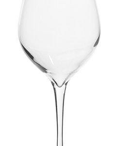Novalberghiera | VINEA CALICI